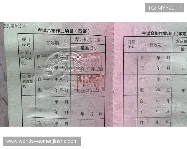 金沙9170登录入口官方平台,最新安全登录指南与操作流程详解 金沙9170登录入口官方平台,最新安全登录指南与操作流程详解