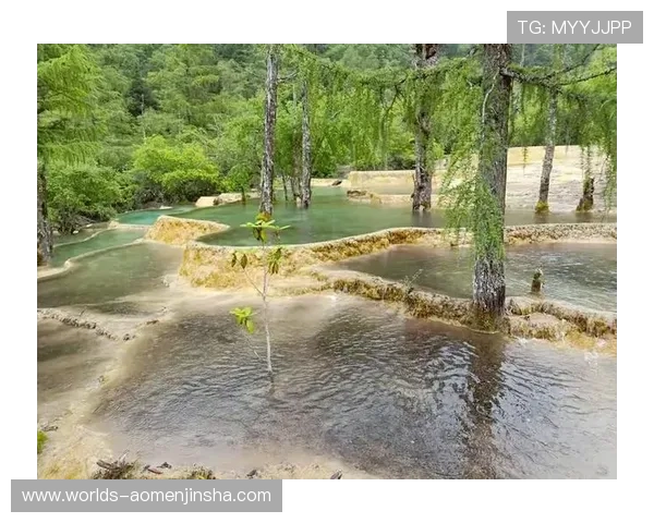 金沙乐游客户服务中心全方位解答常见问题提升您的游戏体验 金沙乐游客户服务中心全方位解答常见问题提升您的游戏体验